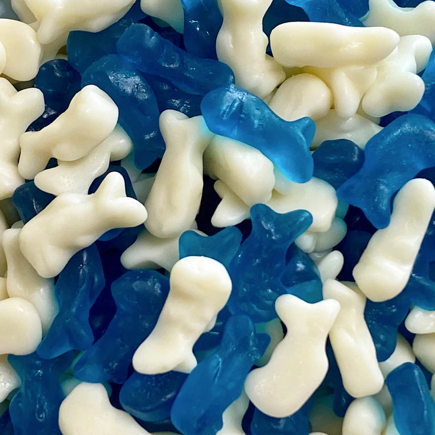 Baby Dolphins - Gifting Jar