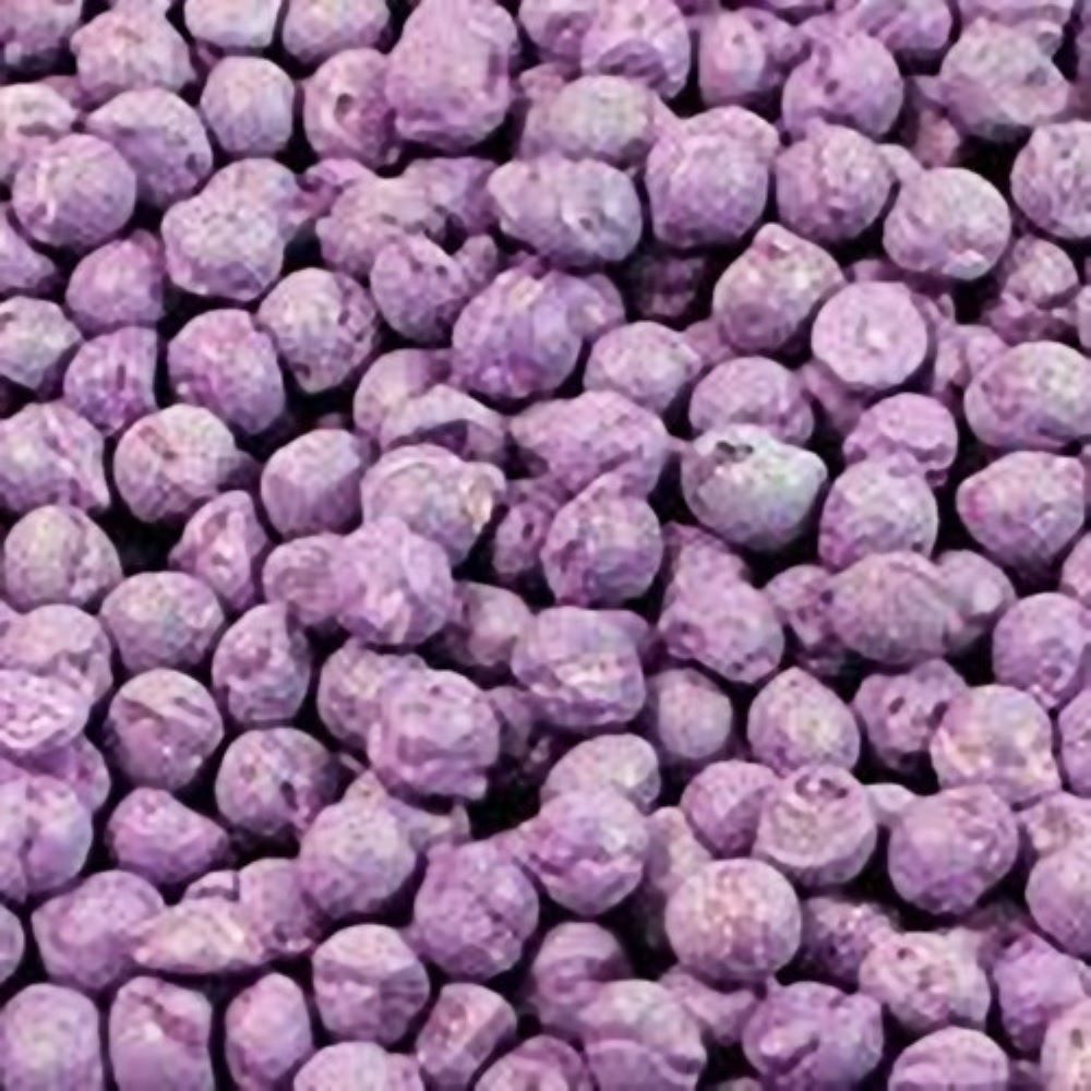 Blackcurrant