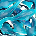 Giant Dolphins*
