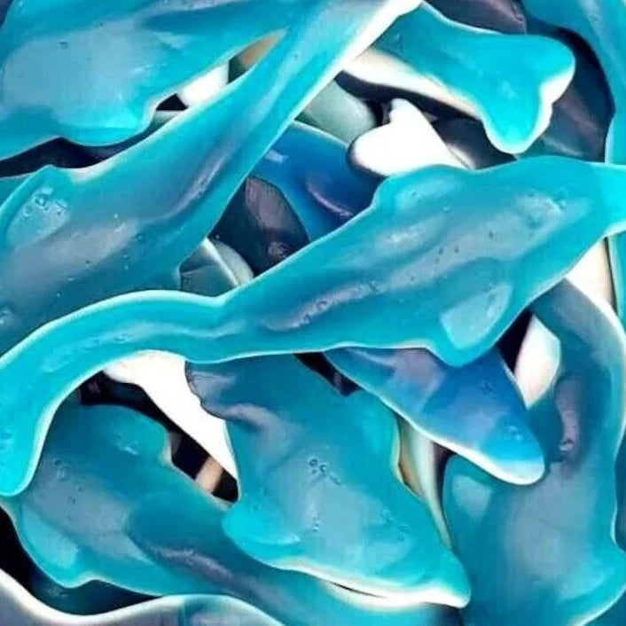 Giant Dolphins*