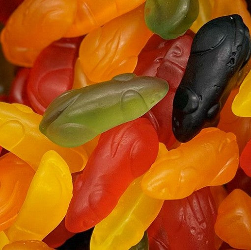 Gummy Giant Mice - Gifting Jar