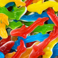 Jelly Sharks*