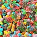 Rainbow Flowers
