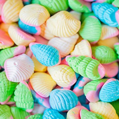 Sea Shells - Gifting Jar