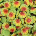 Sour Volcanoes - Gifting Jar